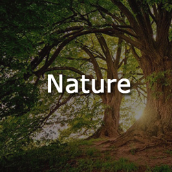 Nature PowerPoint Templates