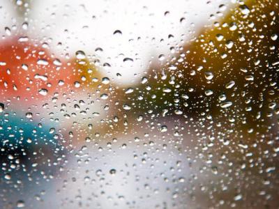 Autumn's Rain-Drenched Window